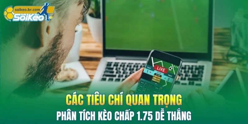 Kèo Chấp 1.75 - Cẩm Nang Hiểu Đúng Dành Cho Người Chơi Mới 3 Các tiêu chí quan trọng khi phân tích