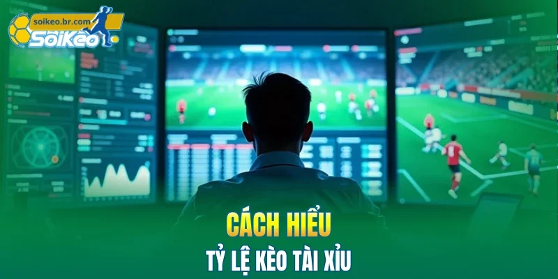 Kèo Tài Xỉu - Bí Quyết Đọc Kèo Chuẩn Xác Từ Chuyên Gia 2 Cách hiểu tỷ lệ kèo tài xỉu