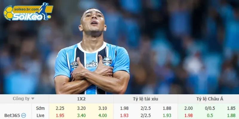 Soi Kèo Mirassol vs Gremio (06h00 Ngày 18/07) Giải VĐQG Brazil 3 Chi tiết kèo Mirassol vs Gremio