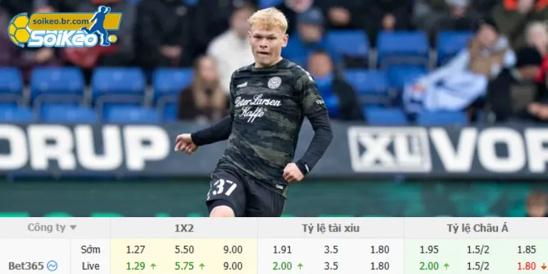 Soi Kèo Viking vs Sandefjord (23h00 Ngày 18/07) Giải VĐQG Na Uy 3 Chi tiết kèo Viking vs Sandefjord