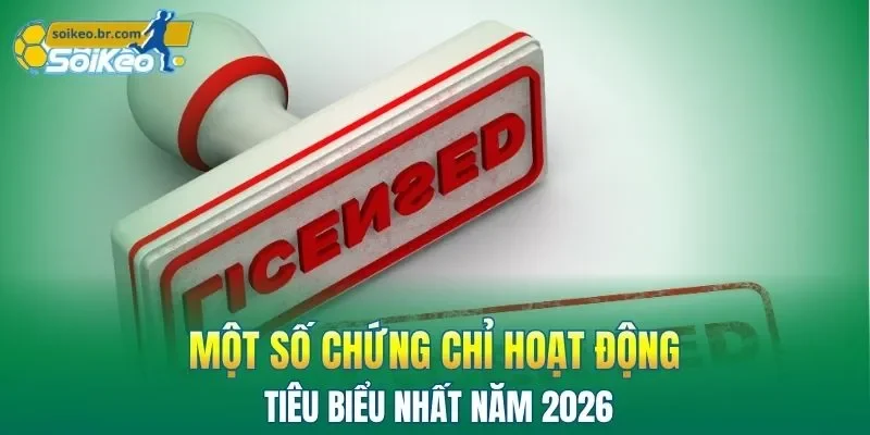 Chứng Chỉ Hoạt Động 2 Một số chứng chỉ hoạt động tiêu biểu