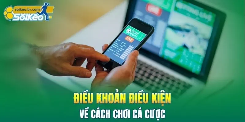 Điều Khoản Điều Kiện 3 Điều khoản điều kiện về cách chơi cá cược