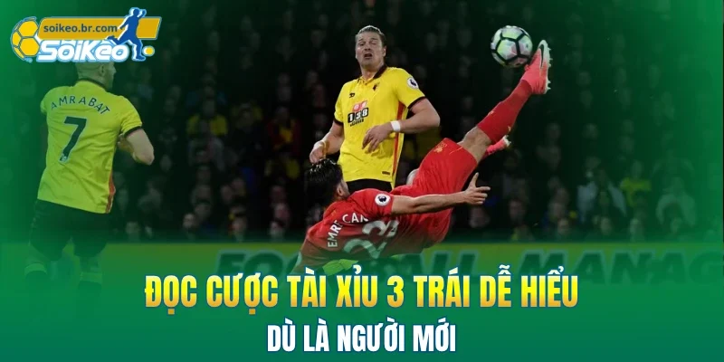Kèo Tài Xỉu 3 Trái - Hướng Dẫn Chi Tiết Dành Cho Người Mới 2 Đọc cược tài xỉu 3 trái dễ hiểu dù là người mới
