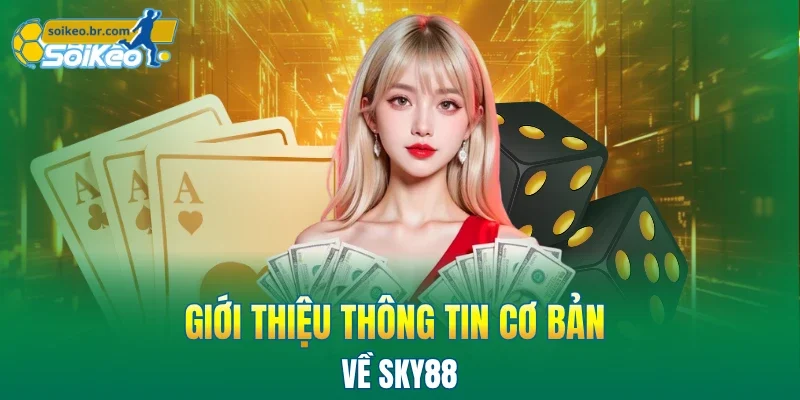 SKY88 - Nhà Cái Cá Cược Uy Tín Được Nhiều Người Chọn 1 Giới thiệu thông tin cơ bản về SKY88