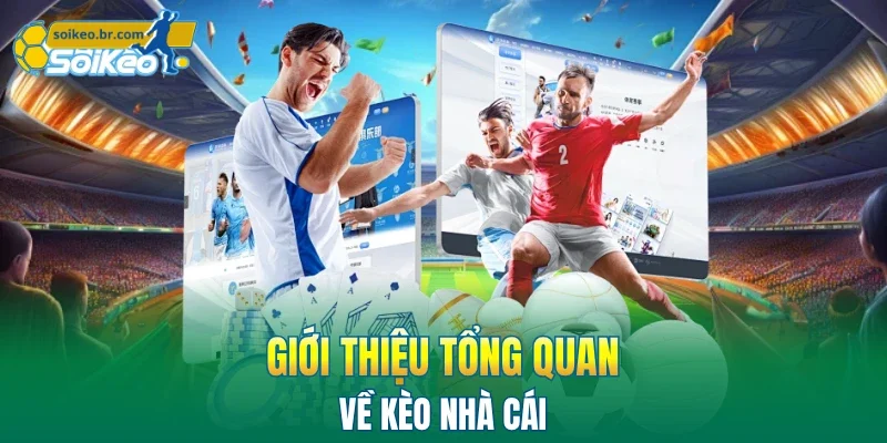 Kèo Nhà Cái 37 Giới thiệu tổng quan về kèo nhà cái