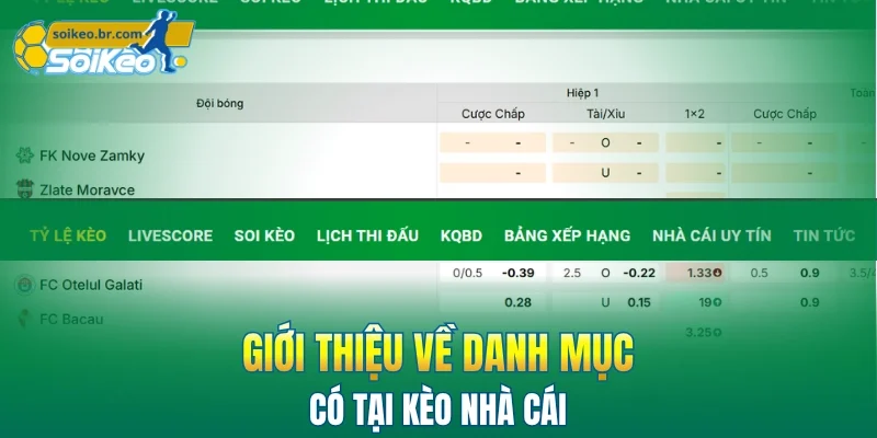 Giới Thiệu 3 Giới thiệu về các danh mục của kèo nhà cái