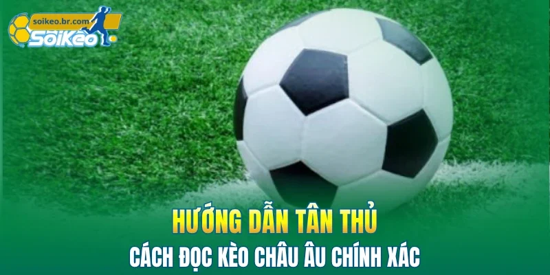Kèo Châu Âu - 3 Bí Kíp Bắt Tỷ Lệ Bóng Đá Hiệu Quả 2026 3 Hướng dẫn tân thủ cách đọc kèo châu âu chính xác