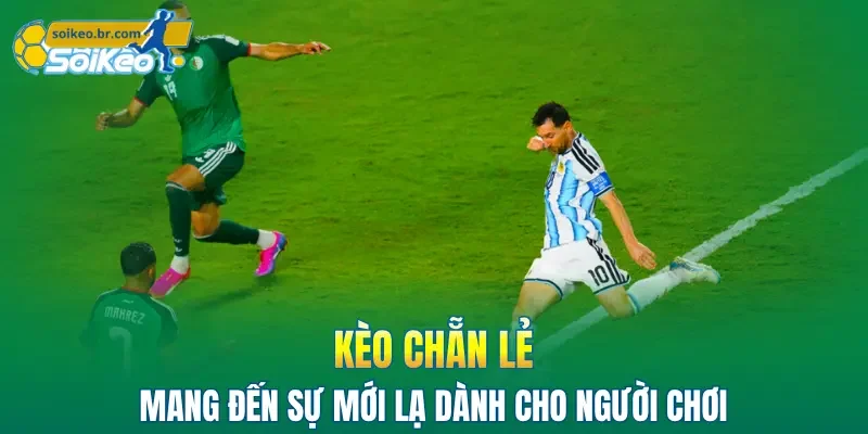 Kèo Chẵn Lẻ - Tìm Hiểu 4 Hình Thức Phổ Biến & Hấp Dẫn 1 Kèo chẵn lẻ mang đến sự mới lạ dành cho người chơi