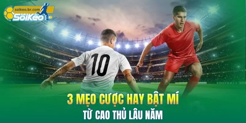 Cách Chơi Kèo Chấp 1 Trái Cùng Mẹo Cược Không Lo Thua Lỗ 3 3 mẹo cược hay bật mí từ cao thủ lâu năm