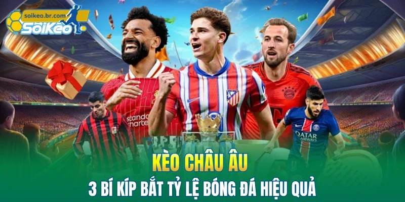 Kèo Châu Âu