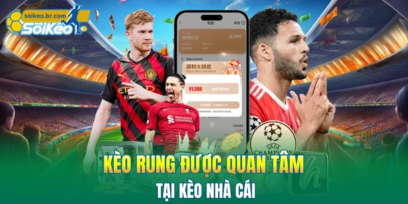 Kèo Nhà Cái 46 Kèo rung được quan tâm tại kèo nhà cái