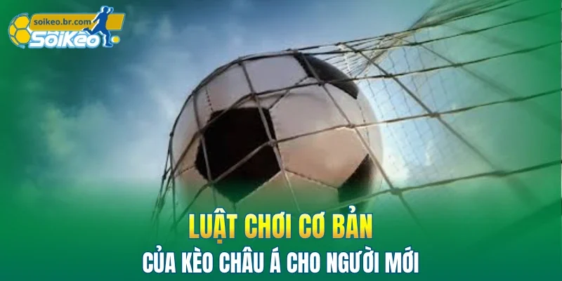 Kèo Châu Á | Sai Lầm Phổ Biến Mà Bạn Hay Mắc Phải 1 Luật chơi cơ bản của kèo châu á cho người mới
