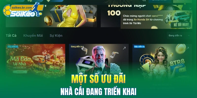 ZO88 - Review Nhà Cái Thể Thao Uy Tín, Phục Vụ 5 Sao 2 Một số ưu đãi ZO88 đang triển khai