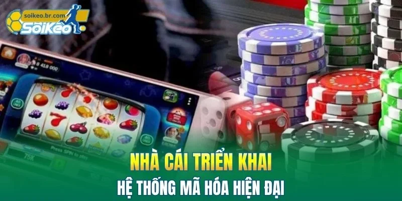 FEBET - Thiên Đường Giải Trí Với Hàng Loạt Game Hấp Dẫn 2 Nhà cái triển khai hệ thống mã hóa hiện đại