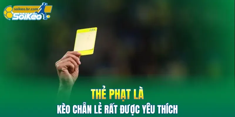 Kèo Chẵn Lẻ - Tìm Hiểu 4 Hình Thức Phổ Biến & Hấp Dẫn 2 Thẻ phạt là hình thức kèo chẵn lẻ rất được yêu thích