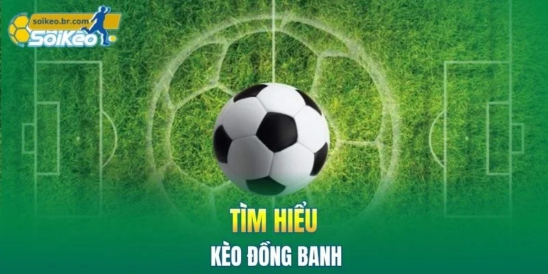 Kèo Đồng Banh - Cách Phân Tích Nhanh Gọn Không Bỏ Lỡ Cơ Hội 1 Tìm hiểu kèo đồng banh