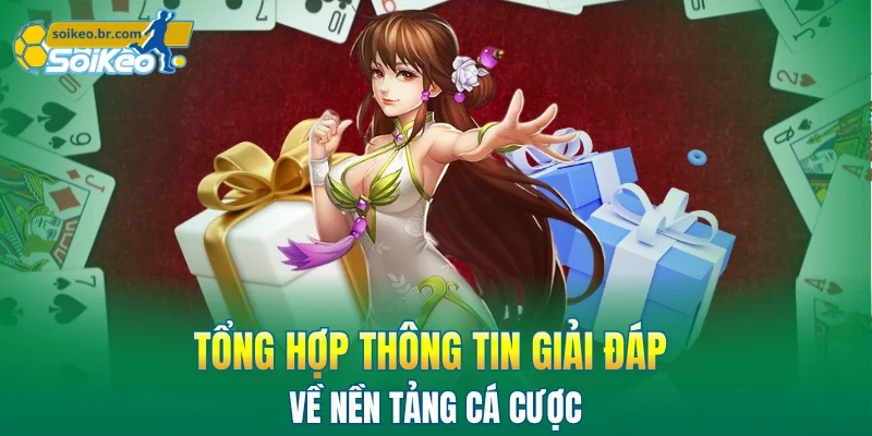 VIVU88 - Sân Chơi Cá Cược Bảo Mật, Giao Dịch Nhanh 3 Tổng hợp thông tin giải đáp về nền tảng cá cược