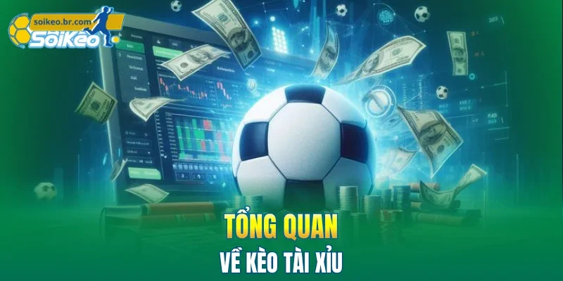Kèo Tài Xỉu - Bí Quyết Đọc Kèo Chuẩn Xác Từ Chuyên Gia 1 Tổng quan về kèo tài xỉu