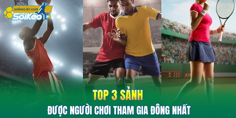 Sunwin - Top #1 Nhà Cái Uy Tín Trên Thị Trường Trực Tuyến 3 Top 3 sảnh được người chơi tham gia đông nhất