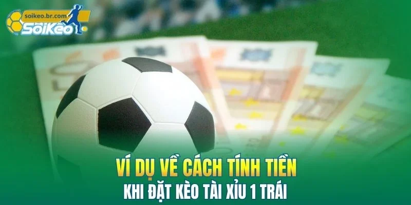 Kèo Tài Xỉu 1 Trái - Mẹo Đánh Giá Mọi Thế Trận Bách Thắng 2 Ví dụ thực tế về cách tính tiền khi đặt kèo 1 trái